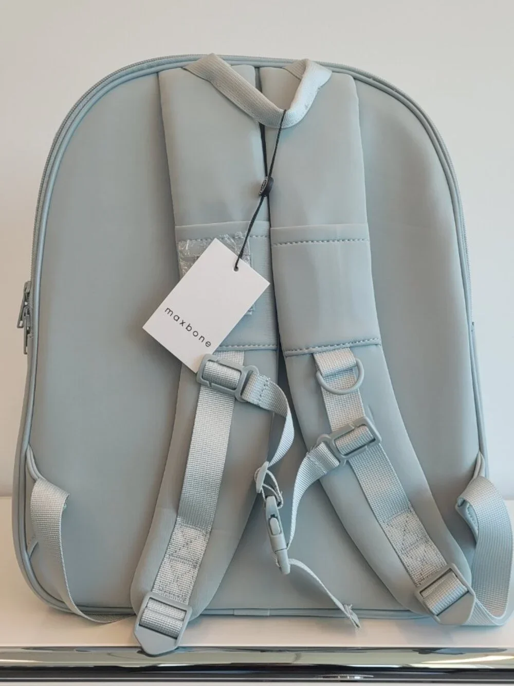 NWOT Prince x Maxbone Limited Edition Pet Carrier Backpack - Light Grey